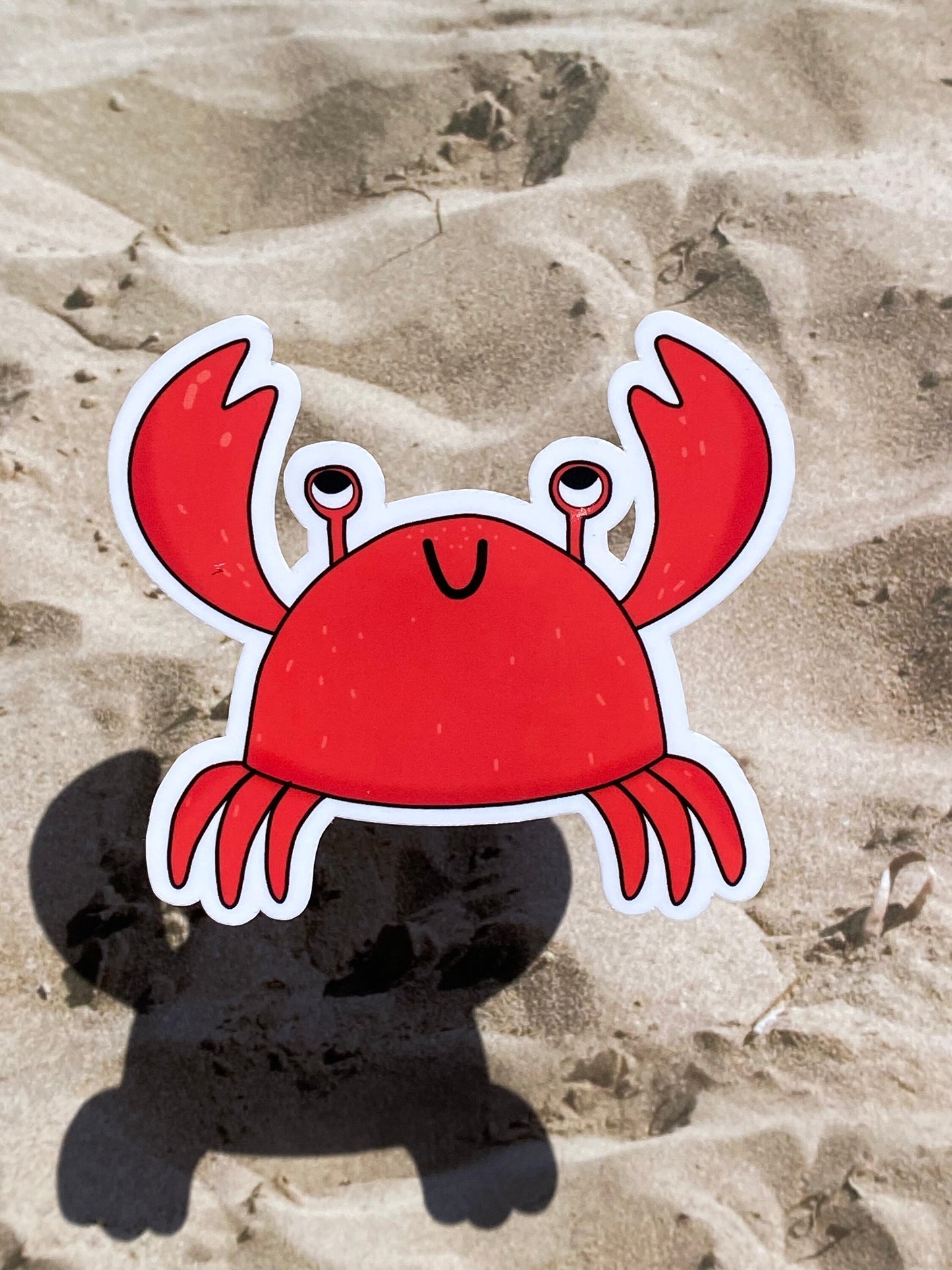 crab on sand