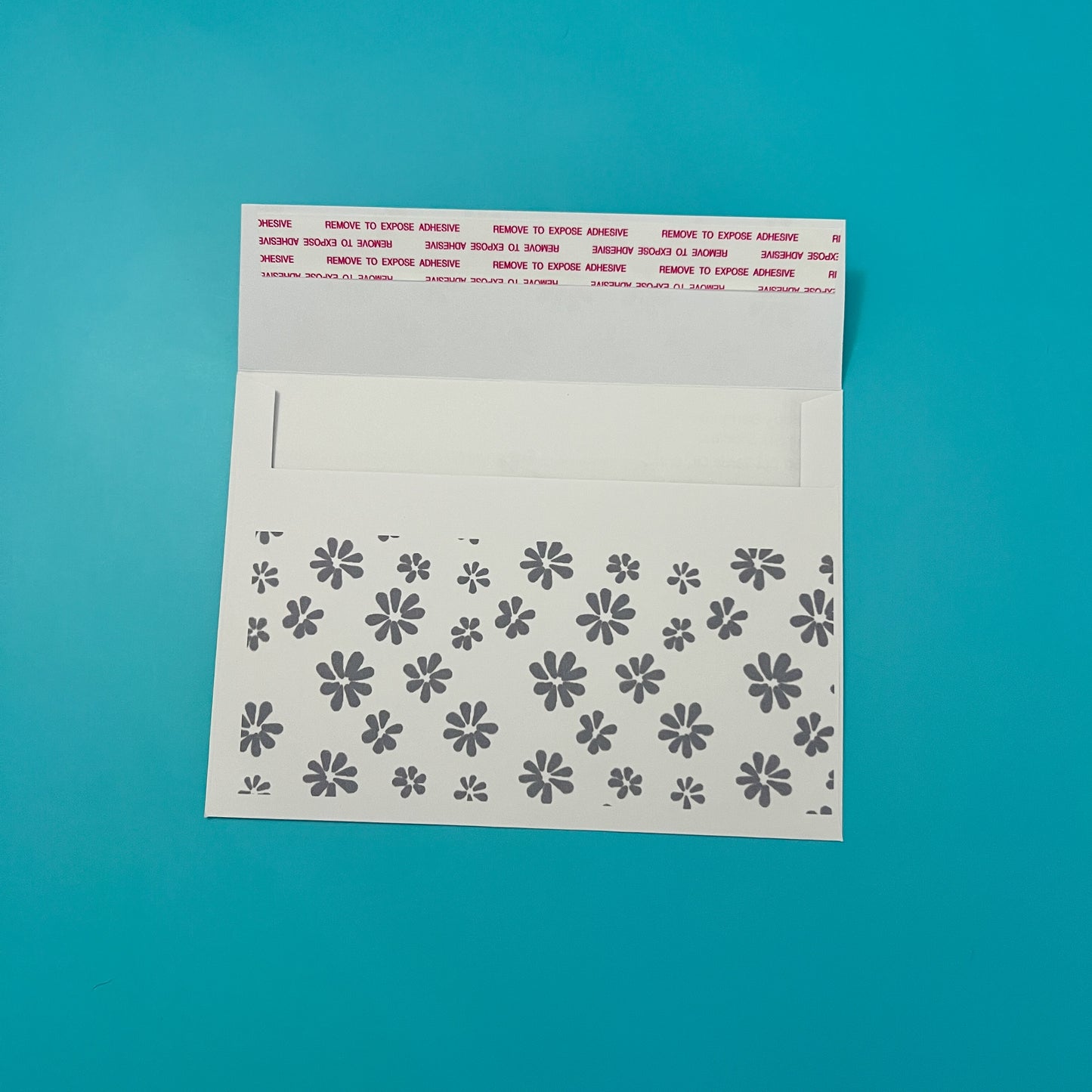 Get One, Give One Monthly Post Card Mail Club Yearly